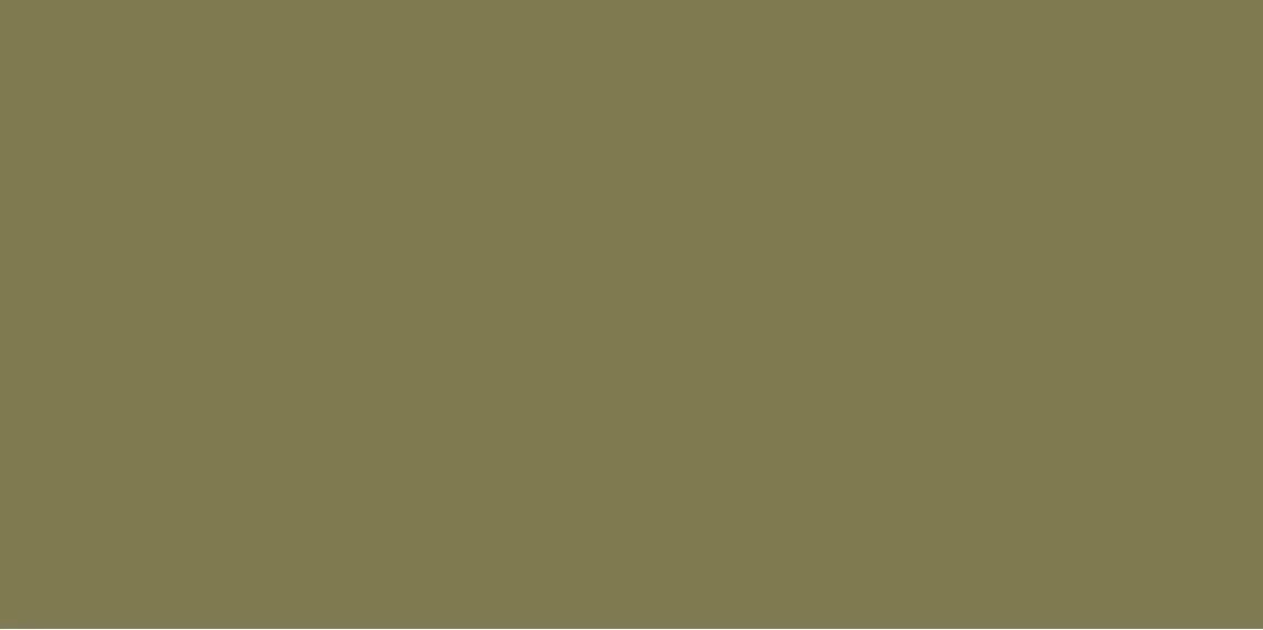 Elite Avocado 5мм Matt 60x120