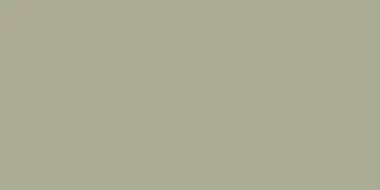 Elite Mushroom 5мм Matt 60x120
