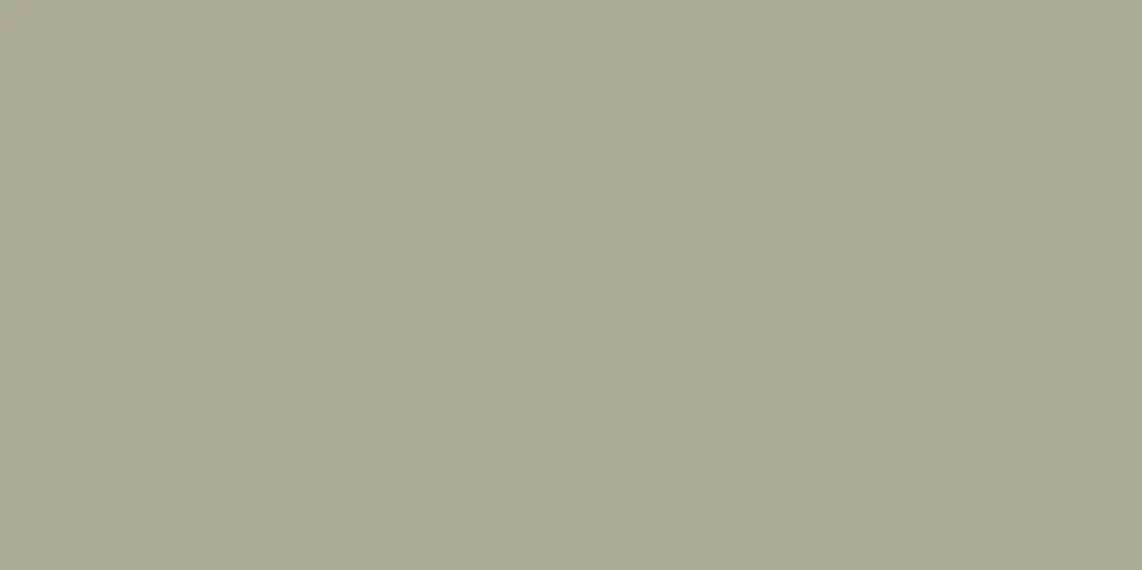 Elite Mushroom 5мм Matt 60x120