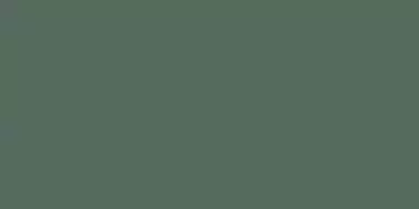 Elite Ocean Green 5мм Matt 60x120