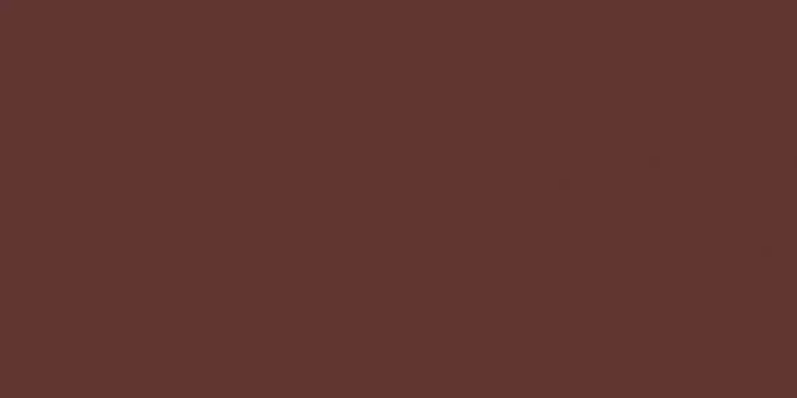 Elite Red Wine 5мм Matt 60x120