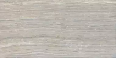 Eramosa SILVER LAP RET 30*60