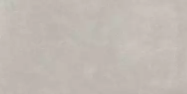 Ess.Wonder Gris Natural 60x120