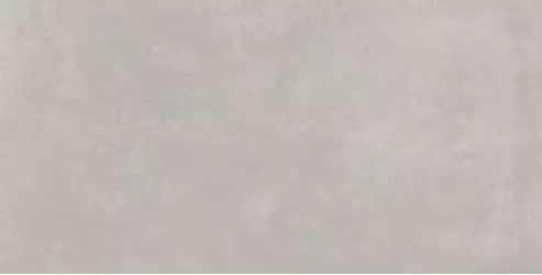 Ess.Wonder Gris Natural 60x120