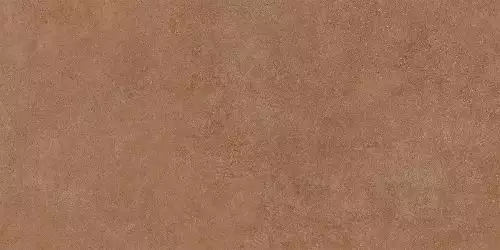 Essenza С-3 Rust 60x120