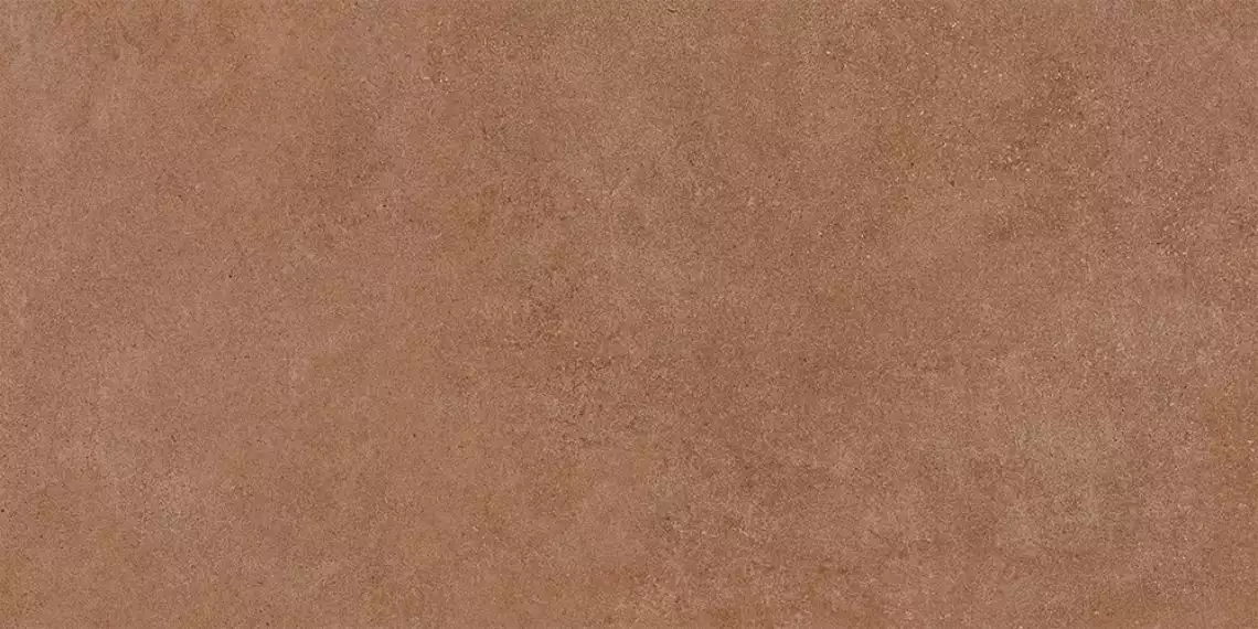 Essenza С-3 Rust 60x120