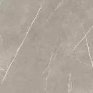 Eternal Natural Taupe 60x60