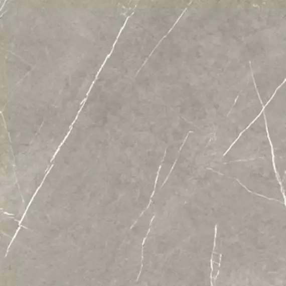 Eternal Natural Taupe 60x60