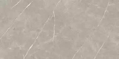 Eternal Pulido Taupe 60x120
