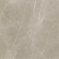Eternal Taupe Natural 120x120