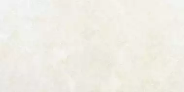 Evolution Ivory Lappato/G-1282 30*60