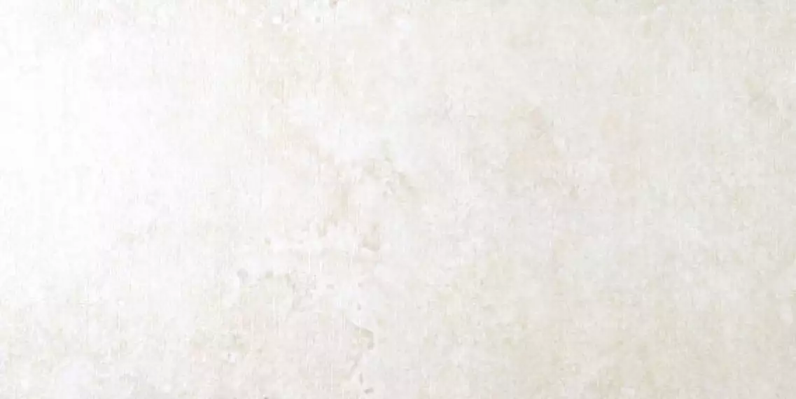 Evolution Ivory Striato/G-1242 30*60