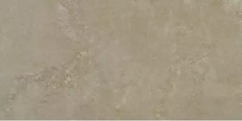 Evolution Vison Lappato/G-1298 30*60