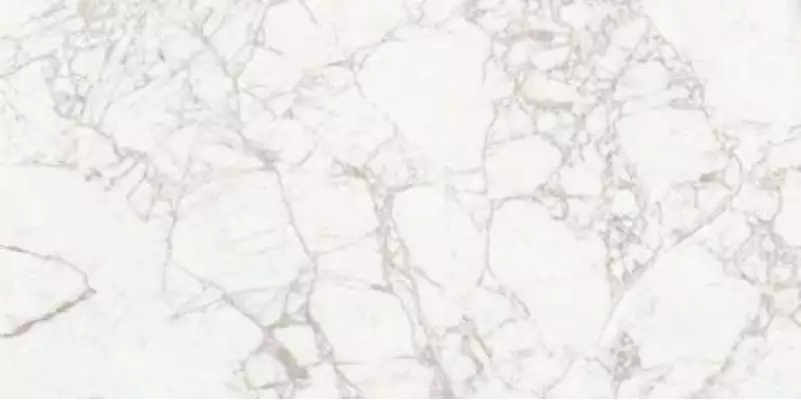 Exotic White Carving 60х120