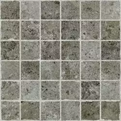 F1ED NAOY Vito Gray Rectified 59.4x59.4