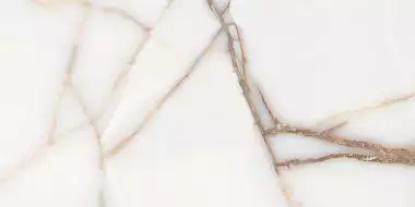 FAVORITE ONYX WHITE GLOSSY 60x120