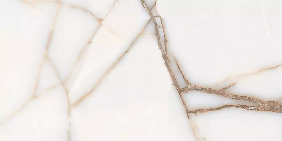 FAVORITE ONYX WHITE GLOSSY 60x120