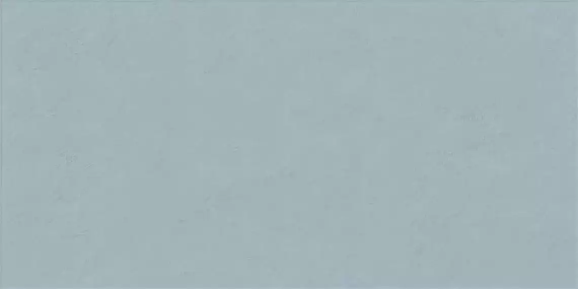 FLORALIA BLEUET 60x120