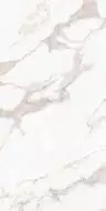 FP1019-A Керамогранит Calacatta Bianco Full Polished 60x120