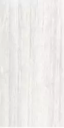 FST612035P Керамогранит Ash Honed/Glitter 60x120