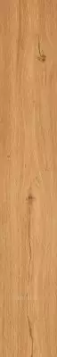 Feelwood Cognac 24x150