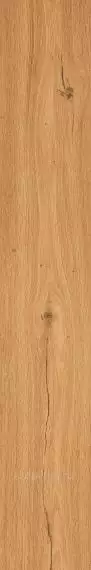 Feelwood Cognac 24x150