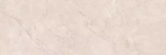 Fenix Taupe PGVT 60x180