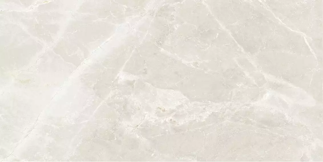 Fior Di Bosca Sand Matt 60x120