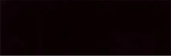 Flat Negro Brillo 25x70