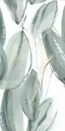 Florida-Pul Verde RP 59x119
