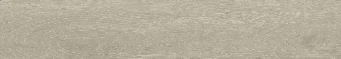 Forest Argent Matt 20x120