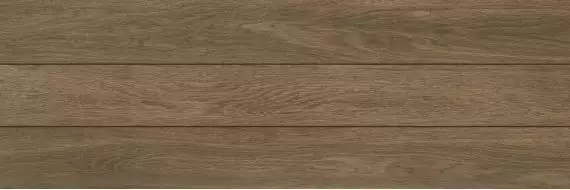 Forest Atlas Honey 31x93