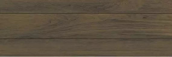 Forest Atlas Nut 31x93