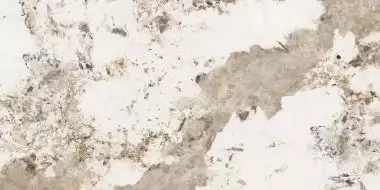 Forest Glossy 60х120