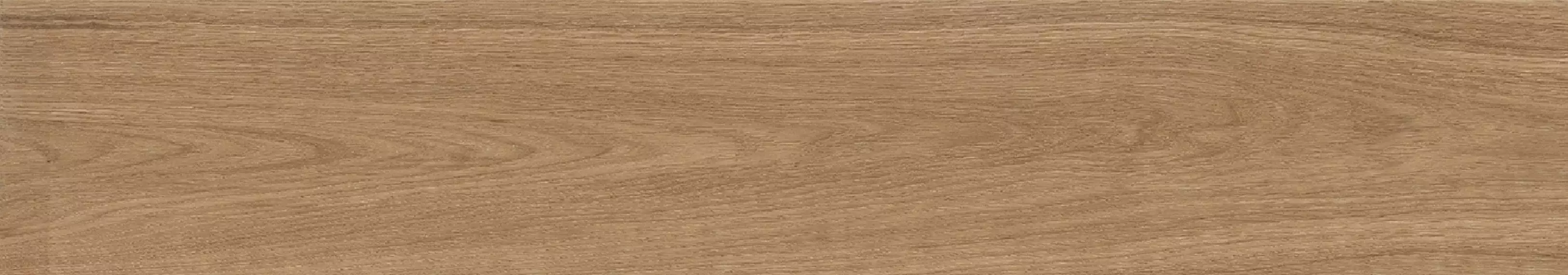 Forest Palm Matt 20x120