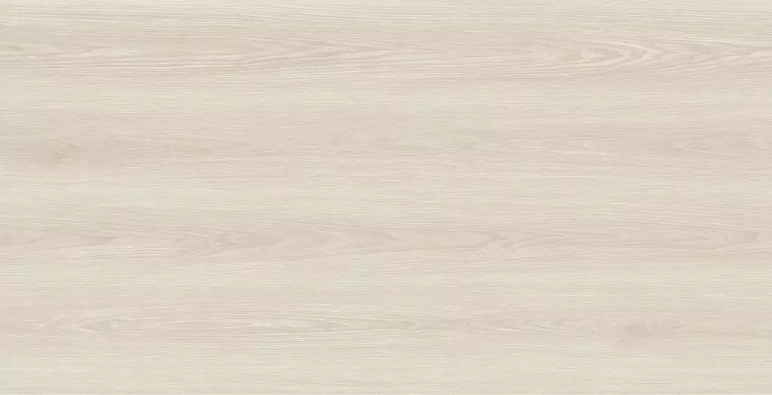 Foresta Beige Matt Carving 60x120