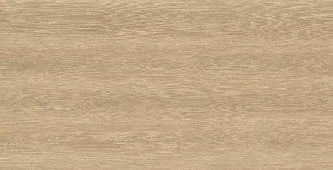 Foresta Miel Matt Carving 60x120