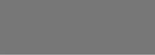 Foresta Silver 24.2x70
