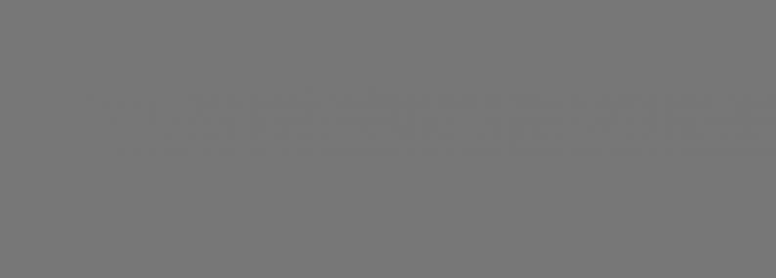 Foresta Silver 24.2x70