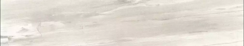 Fossil Ivory MT 15x90