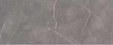 Fronda серый 20х50