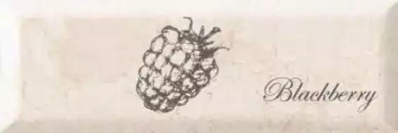 Fruit Mistral marfil BLACKBERRY 10x30