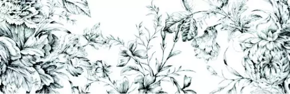 Frunce-4 25x75