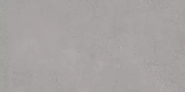 Fusione Grigio G 60x120