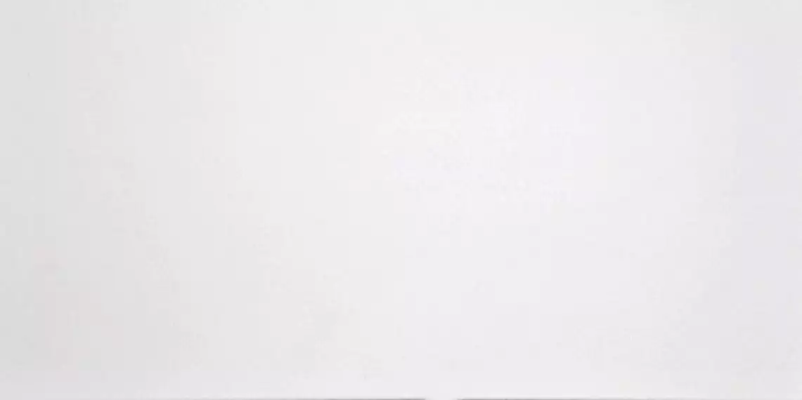 G-100/MR Domino white 30x60
