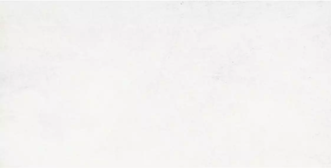 G-1104/MR 60х120