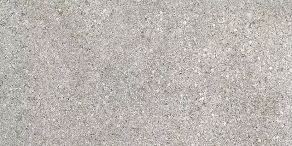 G-1152/MR Granito Grey 300x600x9