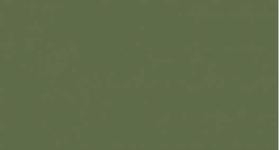 G-116/PR Зеленый 60*120