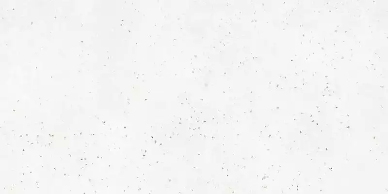 G-40/MR Granella White 600x1200x10