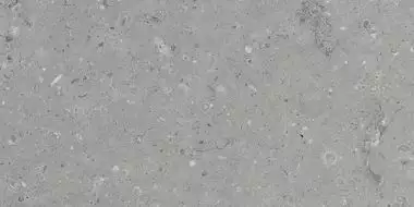 G213 Arkaim Grey MR 60x120
